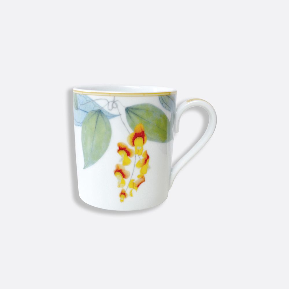 Bernardaud - Cốc JARDIN INDIEN 300ml