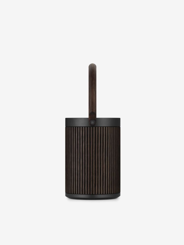 Loa Beosound A5