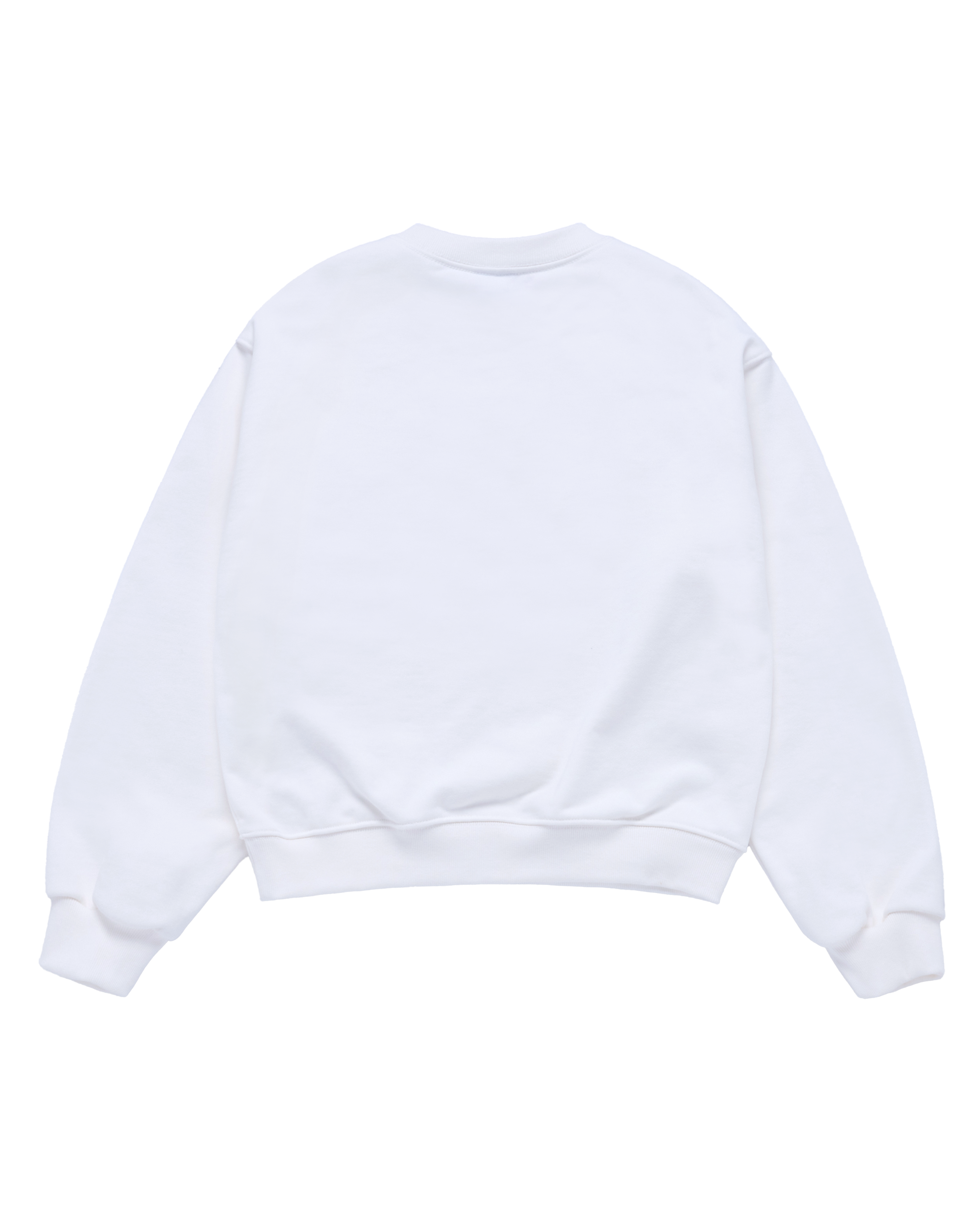 ADLV - Áo Nỉ nữ crop Palette Lettering Trắng