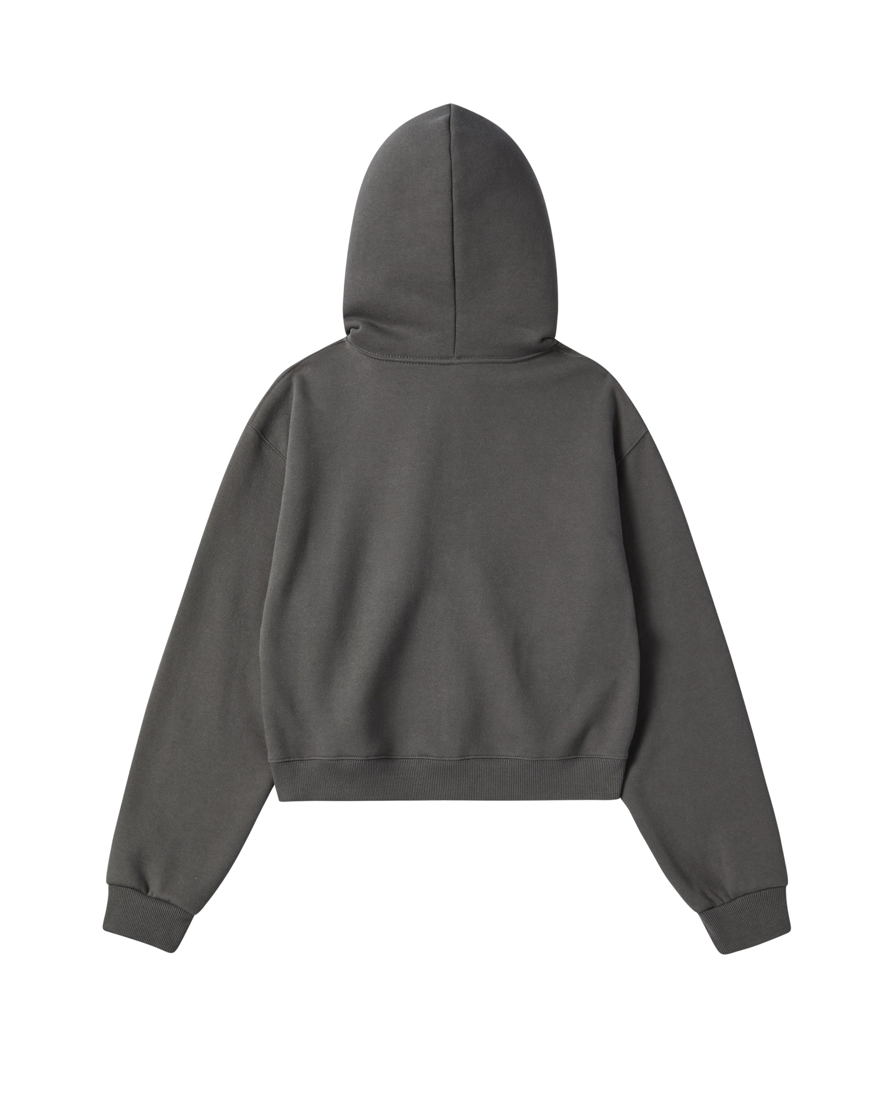 ADLV - Áo Hoodie nữ crop kéo khóa Arch Shaped Logo Napping Than chì