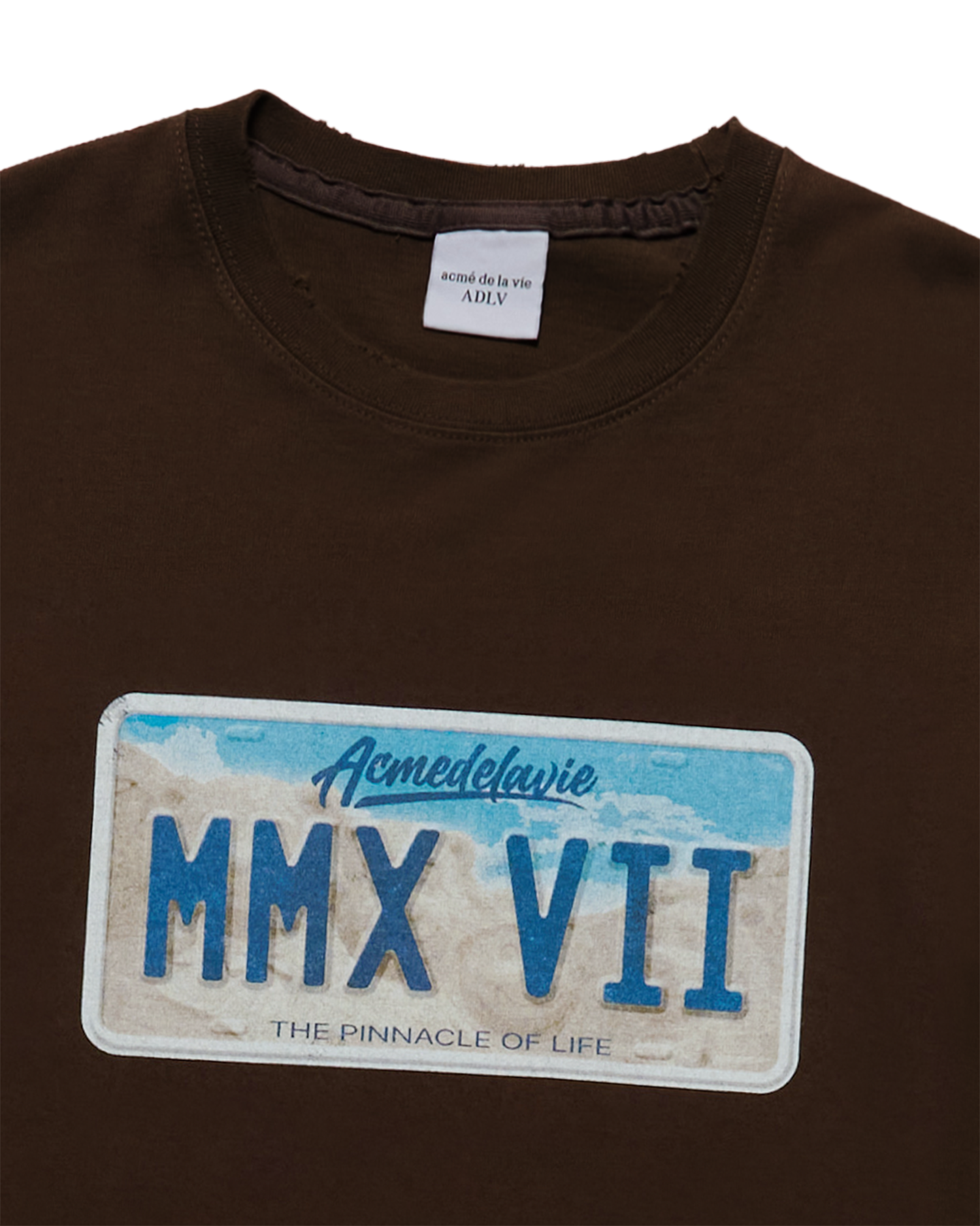 Áo thun ngắn tay LICENSE PLATE Nâu đậm