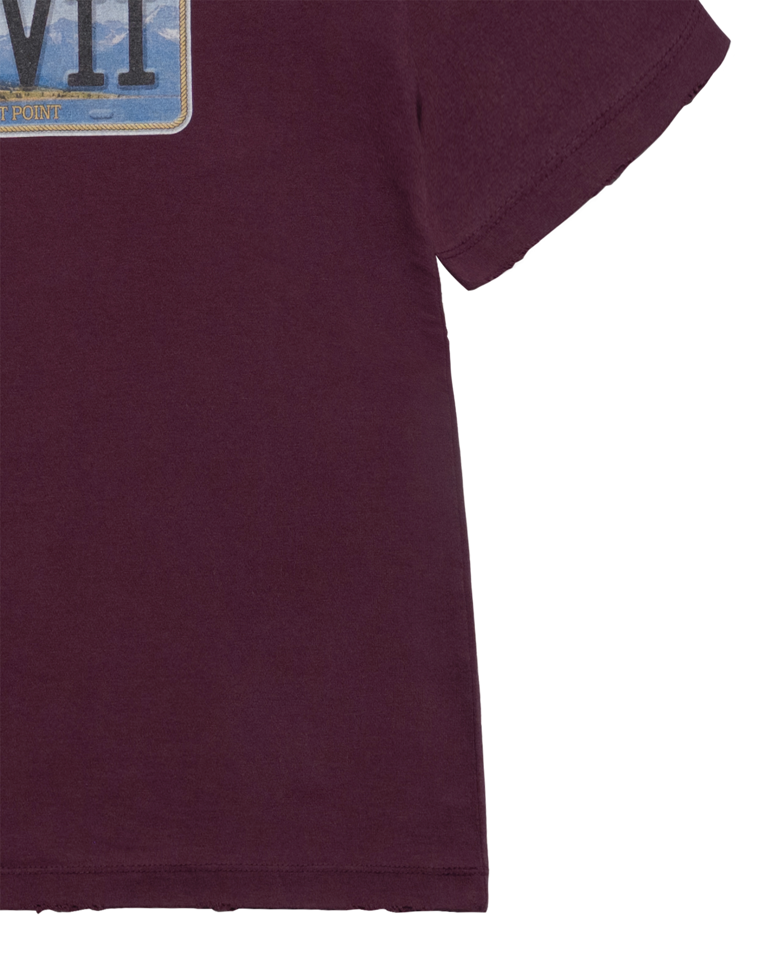 Áo thun ngắn tay LICENSE PLATE Đỏ bordeaux
