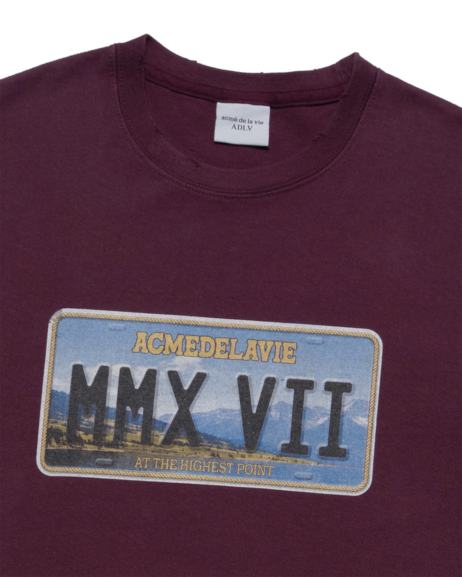 Áo thun ngắn tay LICENSE PLATE Đỏ bordeaux