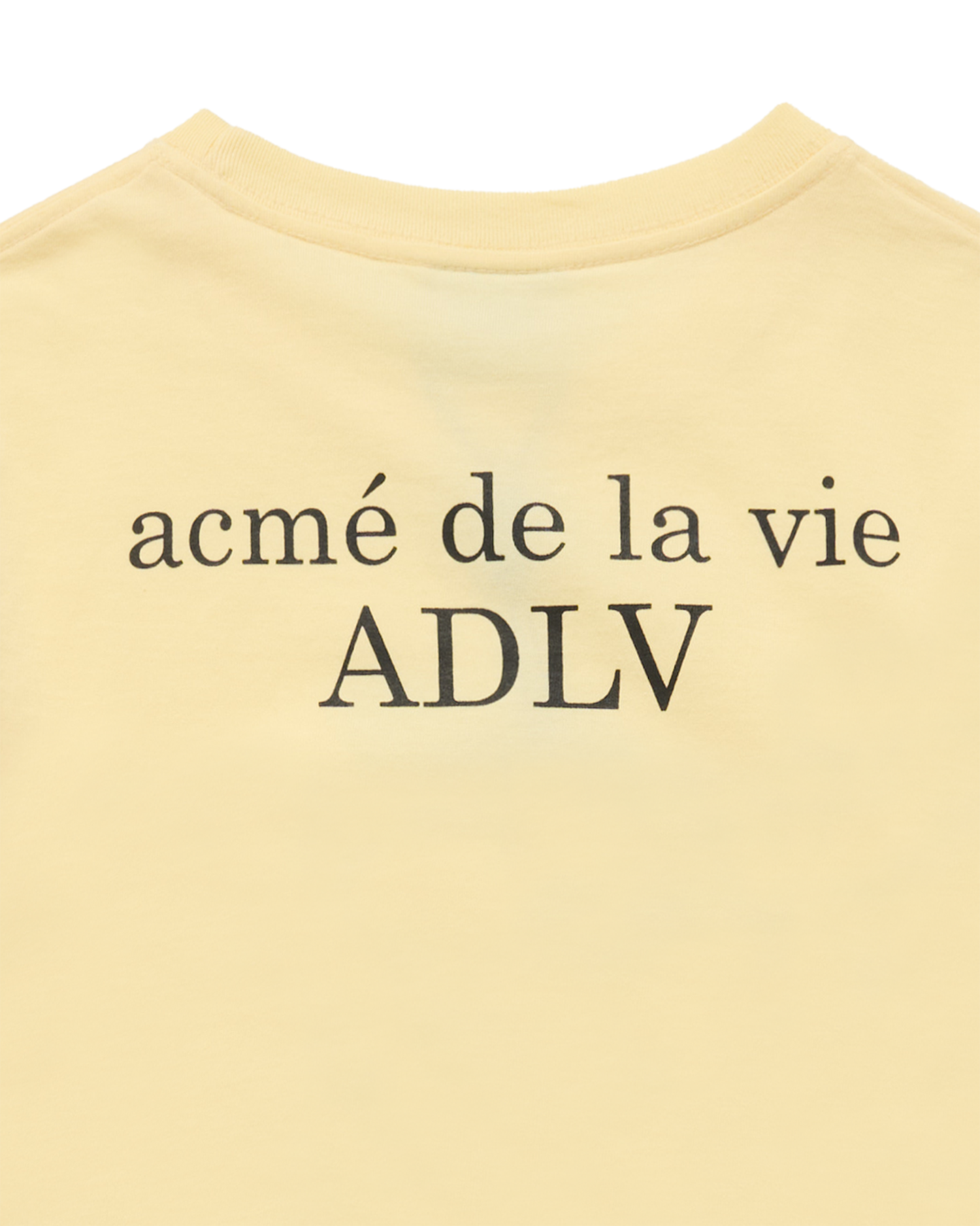 ADLV - Áo thun KIDS BASIC AC BEAR Vàng nhạt