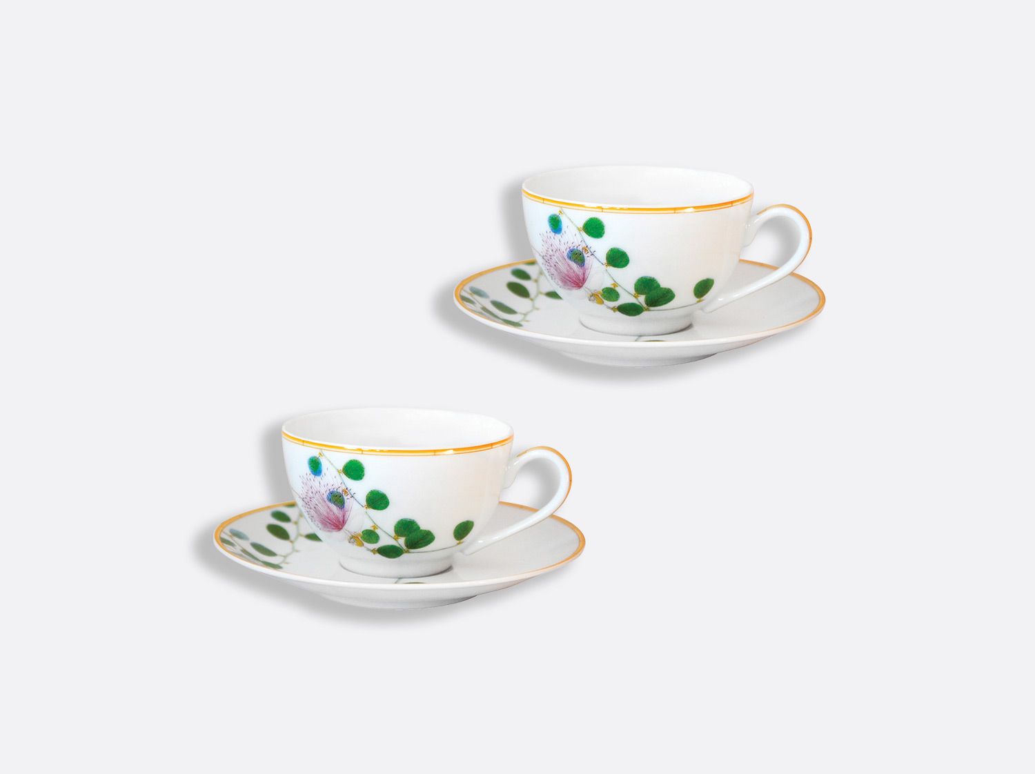 Bernardaud - Bộ cốc và đĩa JARDIN INDIEN 130ml