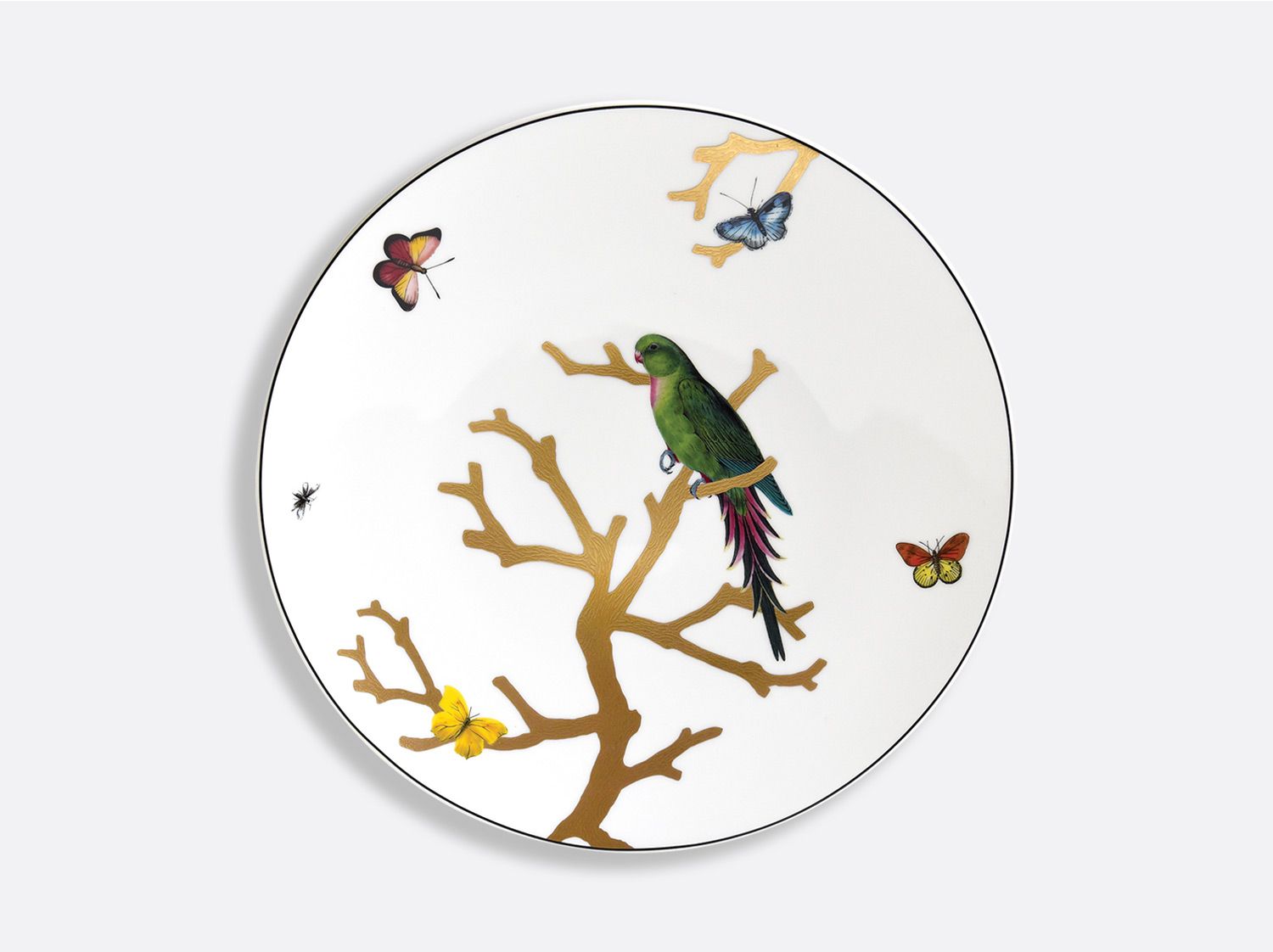 Đĩa ăn món chính AUX OISEAUX PERRUCHE VERT