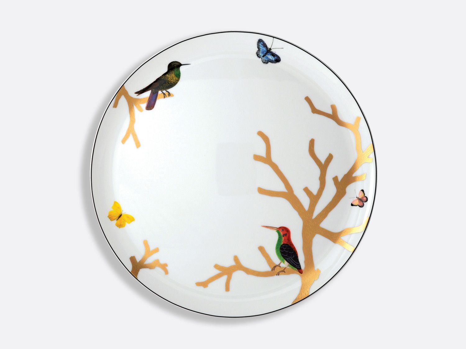 Đĩa tròn AUX OISEAUX