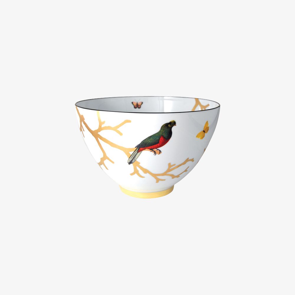 Bernardaud - Bát đựng salad, trái cây AUX OISEAUX