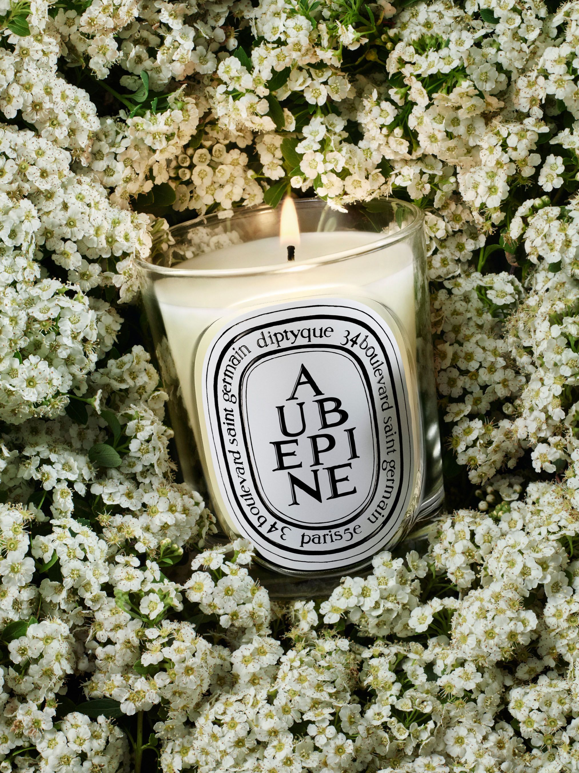 Diptyque - Nến thơm Aubépine