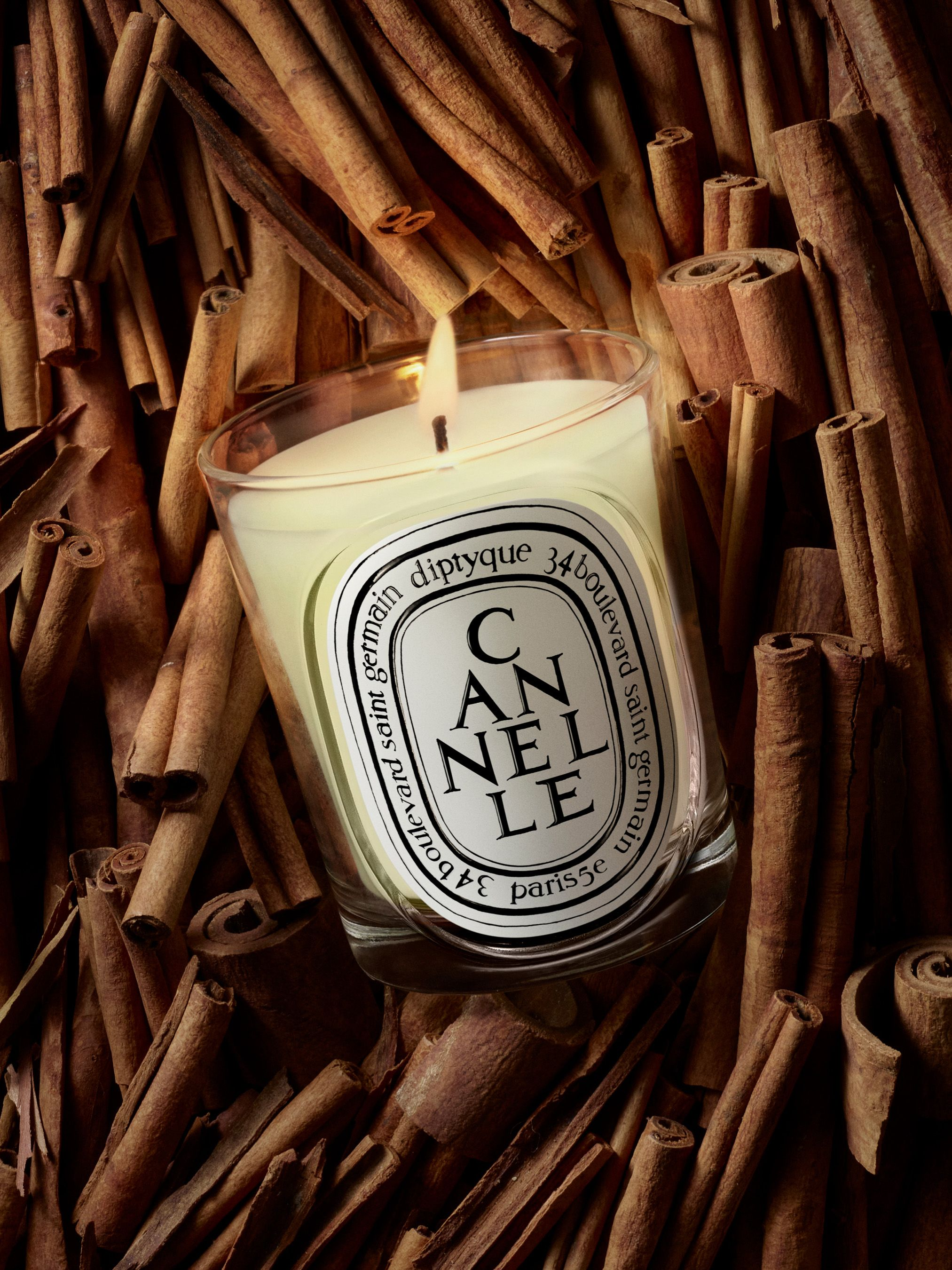 Diptyque - Nến thơm Cannelle