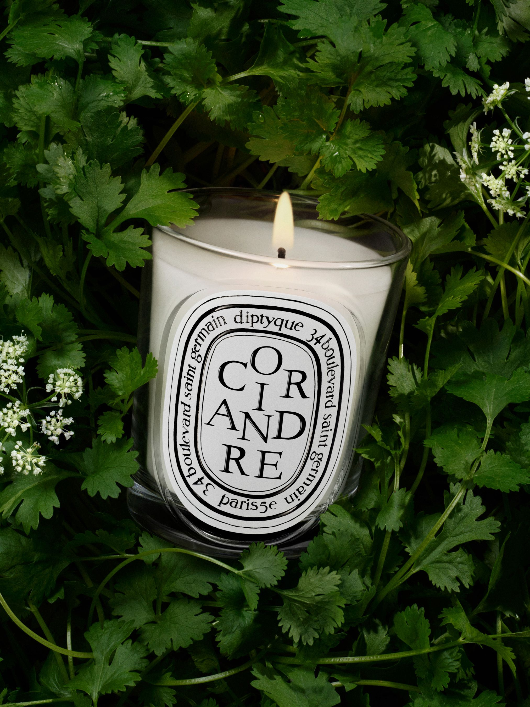 Diptyque - Nến thơm Coriandre