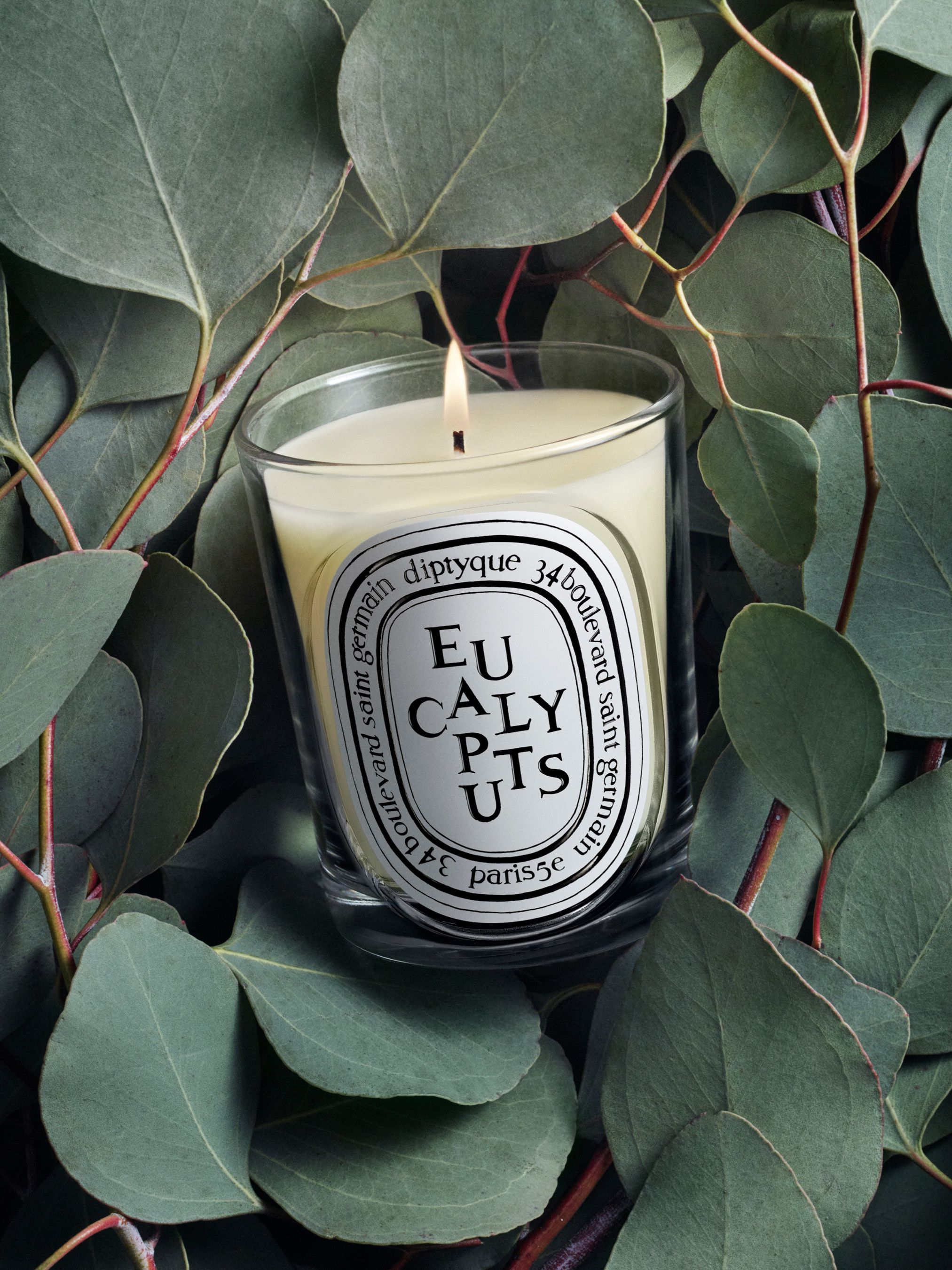 Diptyque - Nến thơm Eucalyptus
