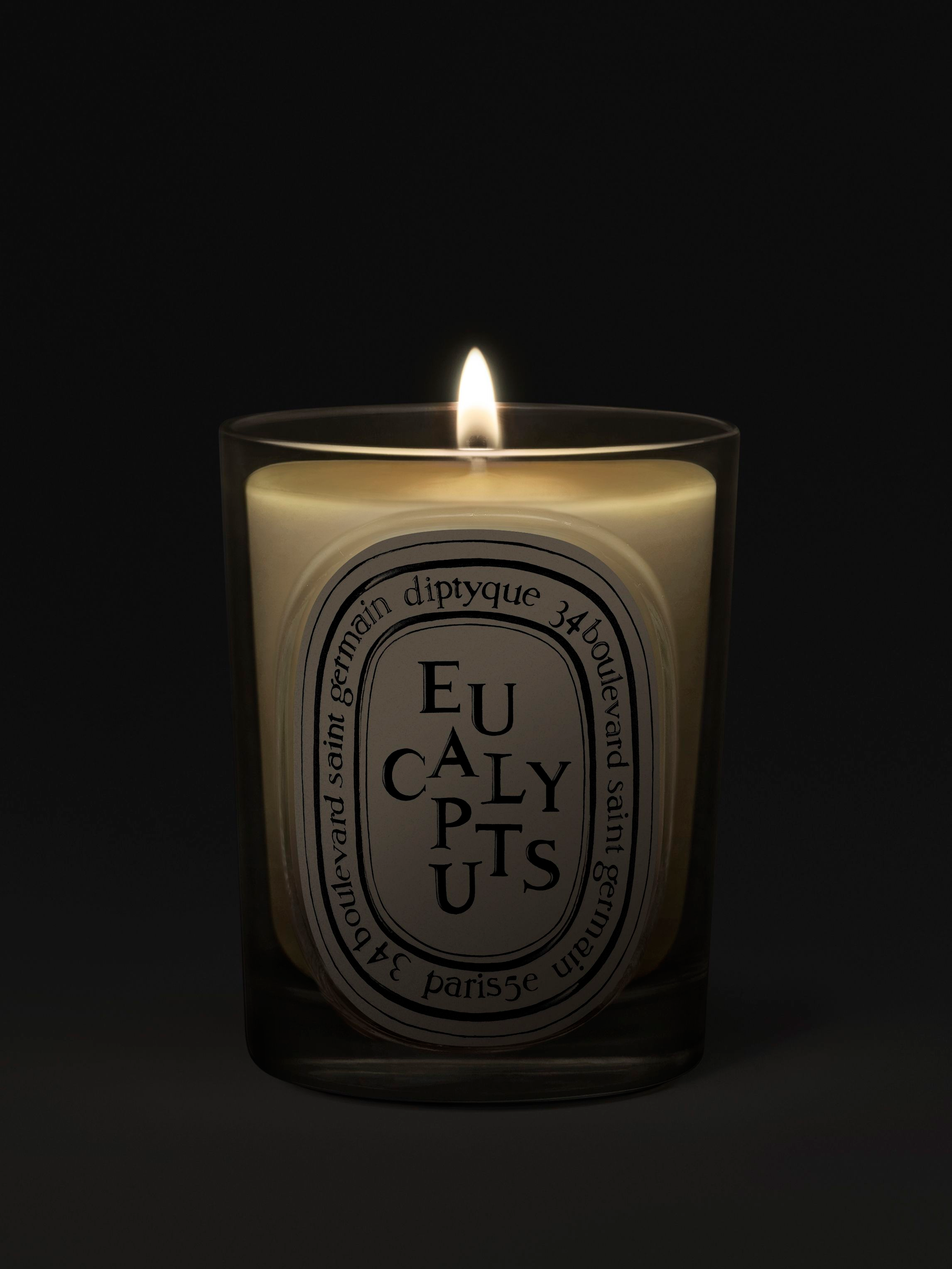 Diptyque - Nến thơm Eucalyptus