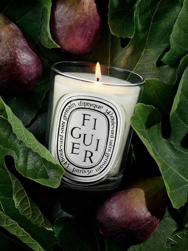Diptyque - Nến thơm Figuier