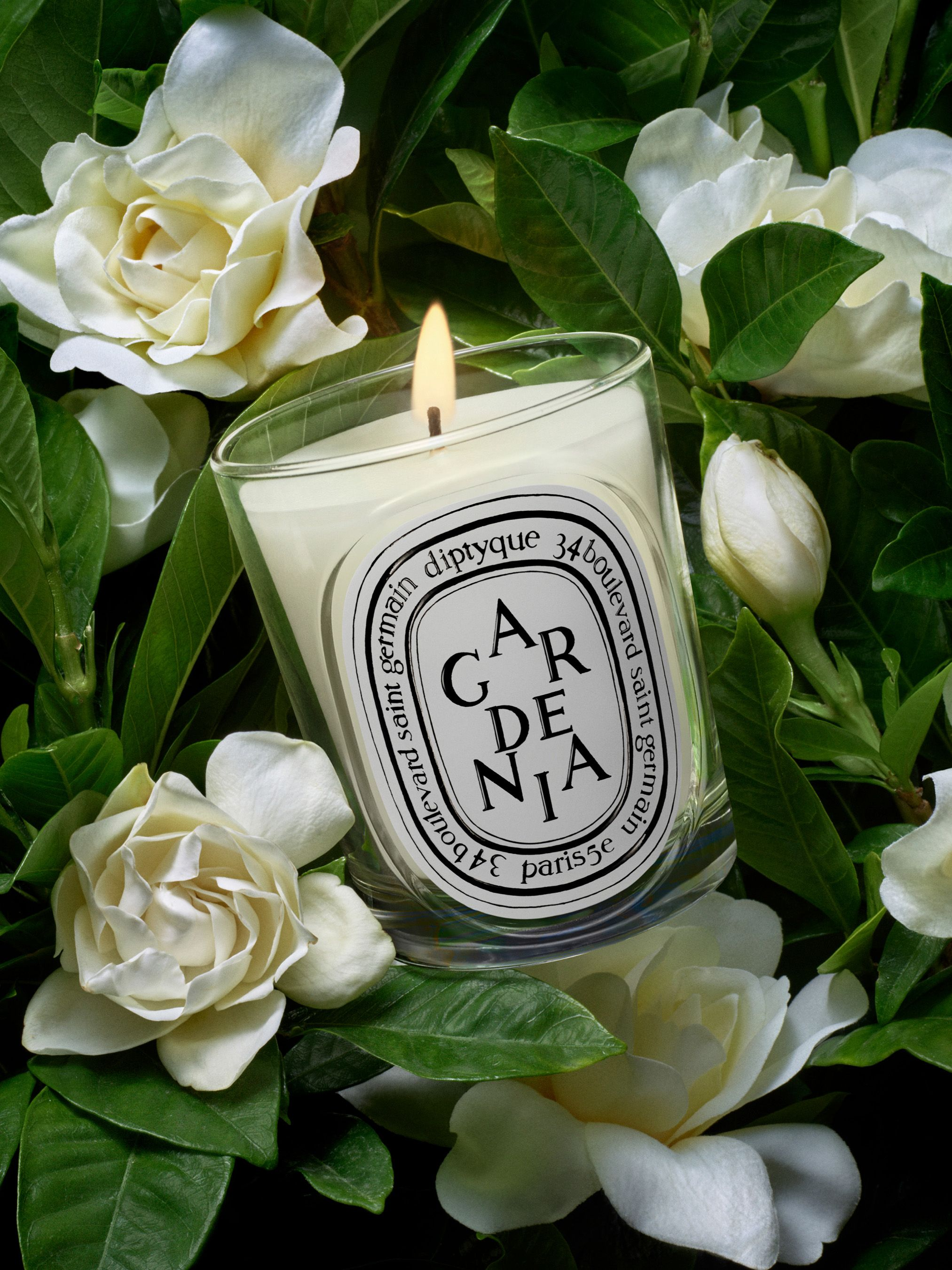 Diptyque - Nến thơm Gardenia