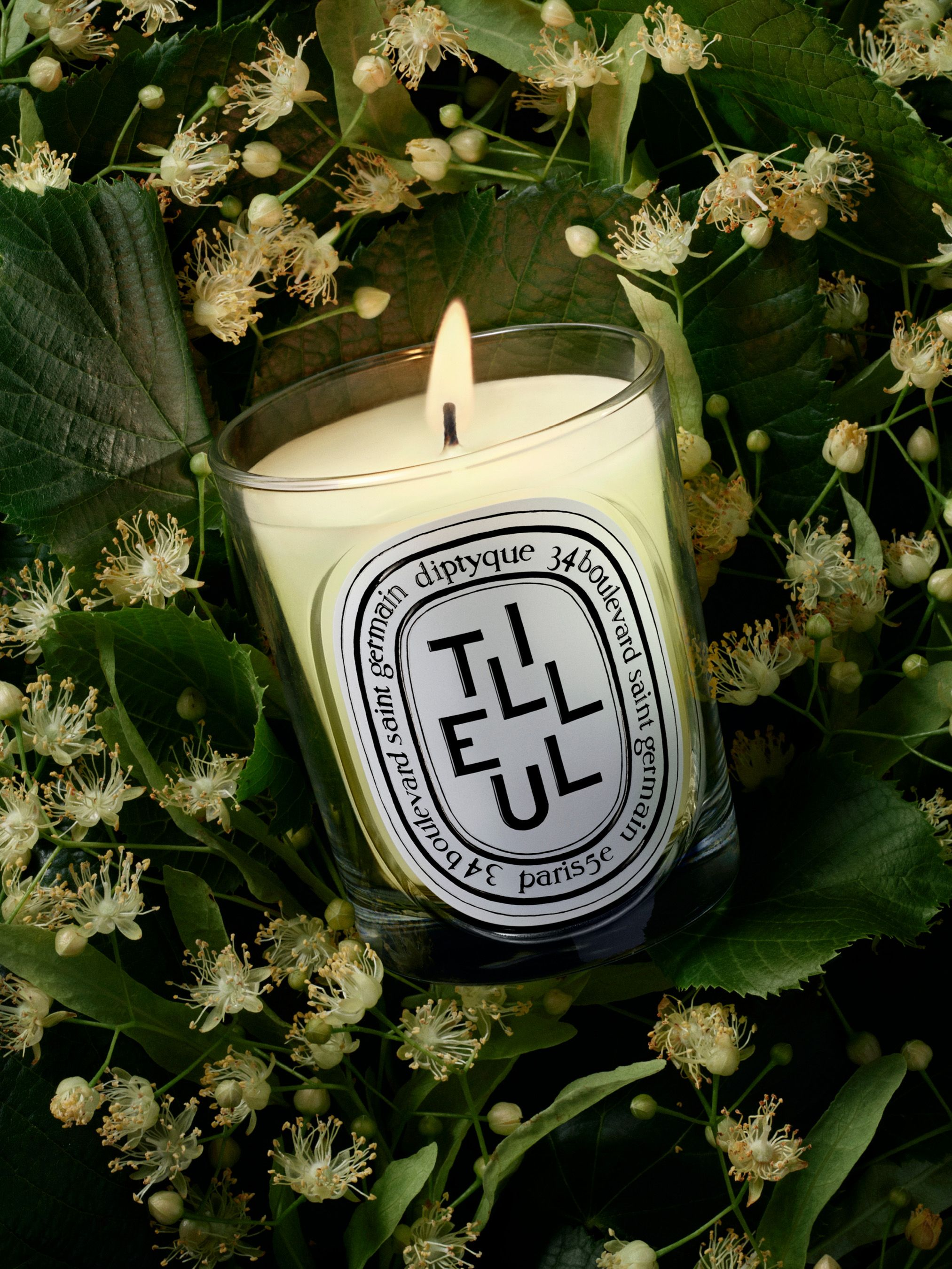 Diptyque - Nến thơm Tilleul