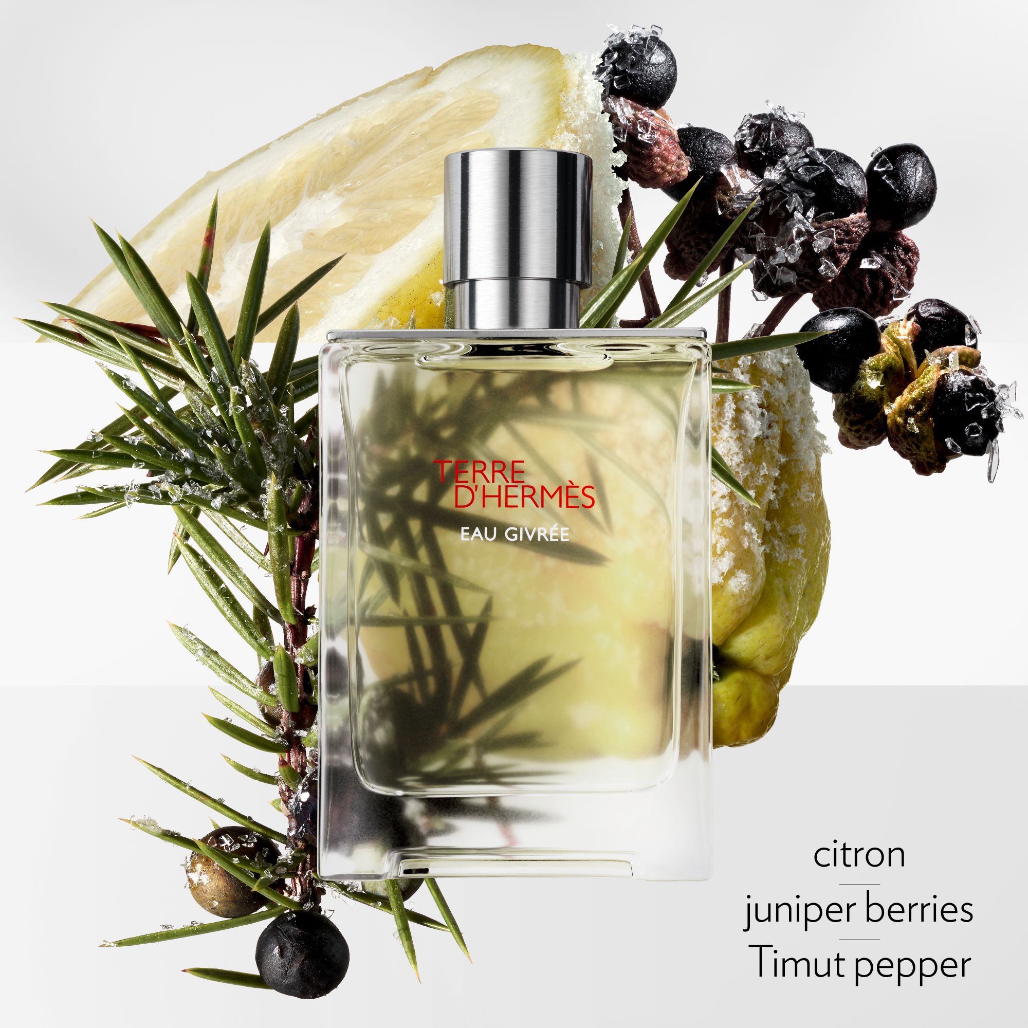 Hermès - Terre d'Hermès Eau Givree Eau de parfum