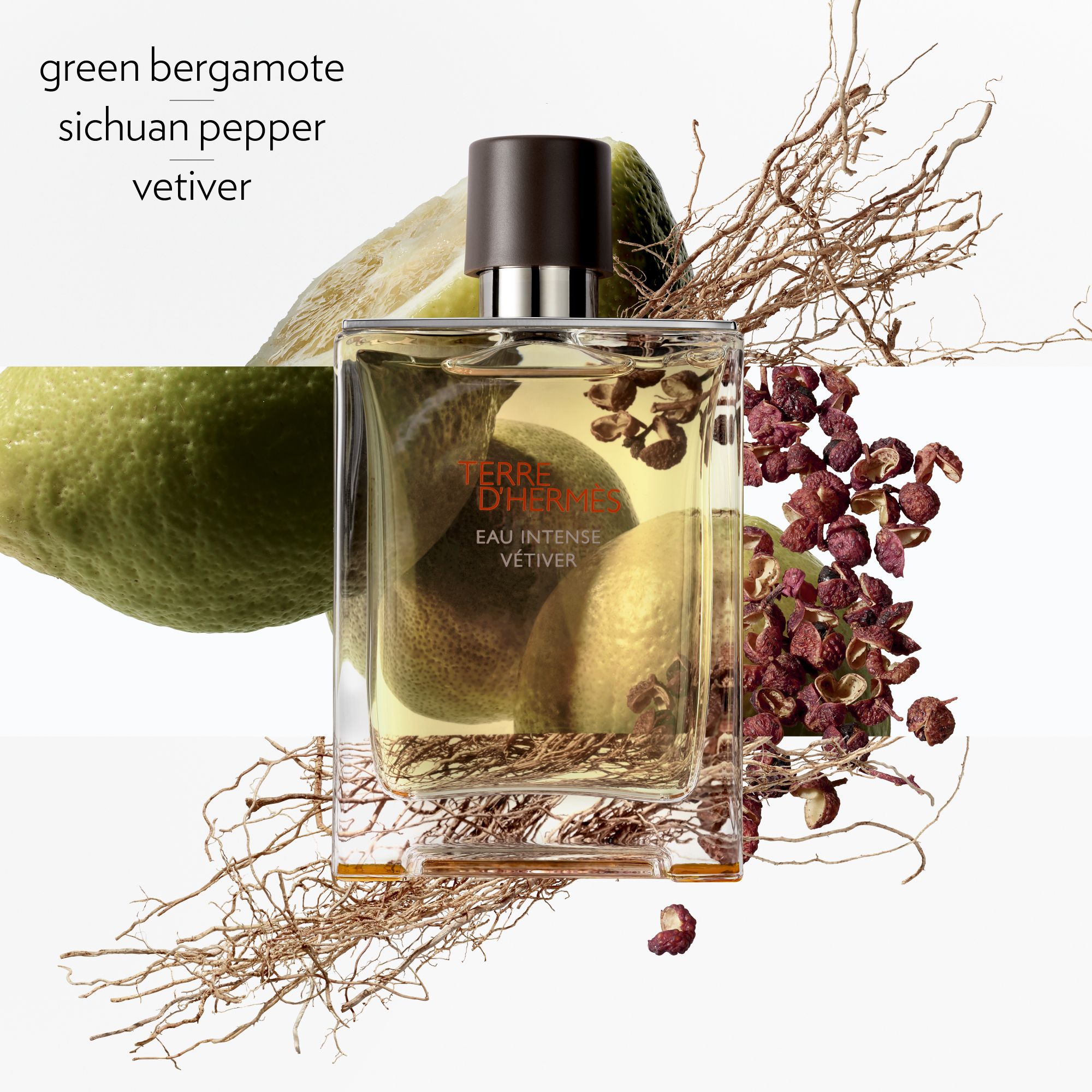 Hermès - Terre d'Hermès Eau Intense Vetiver Eau de parfum