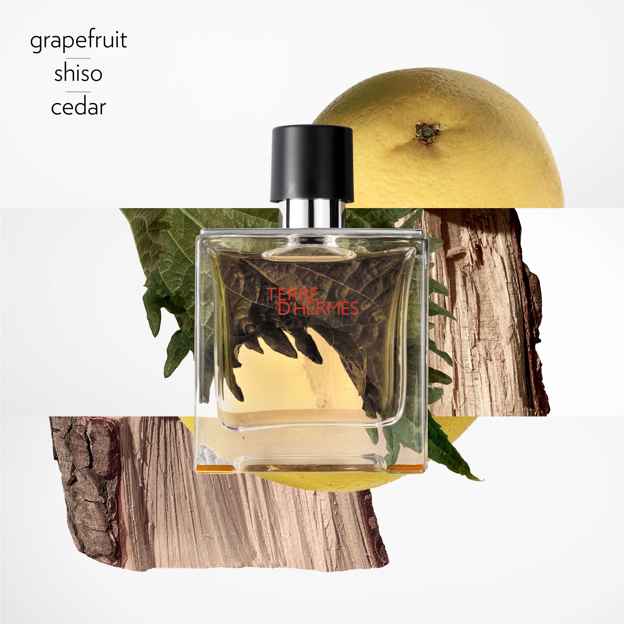 Hermès - Terre d'Hermès Parfum