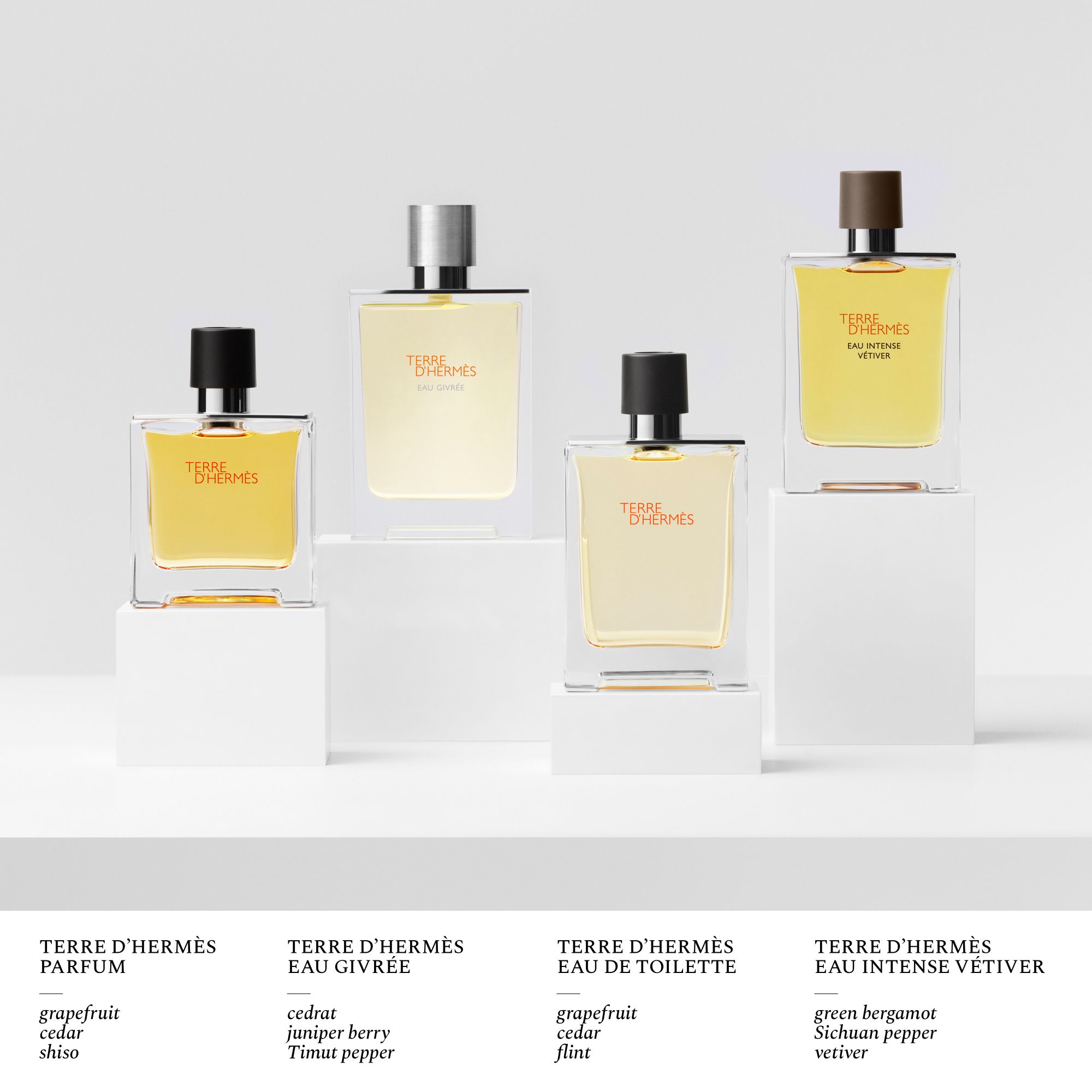Hermès - Terre d'Hermès Parfum