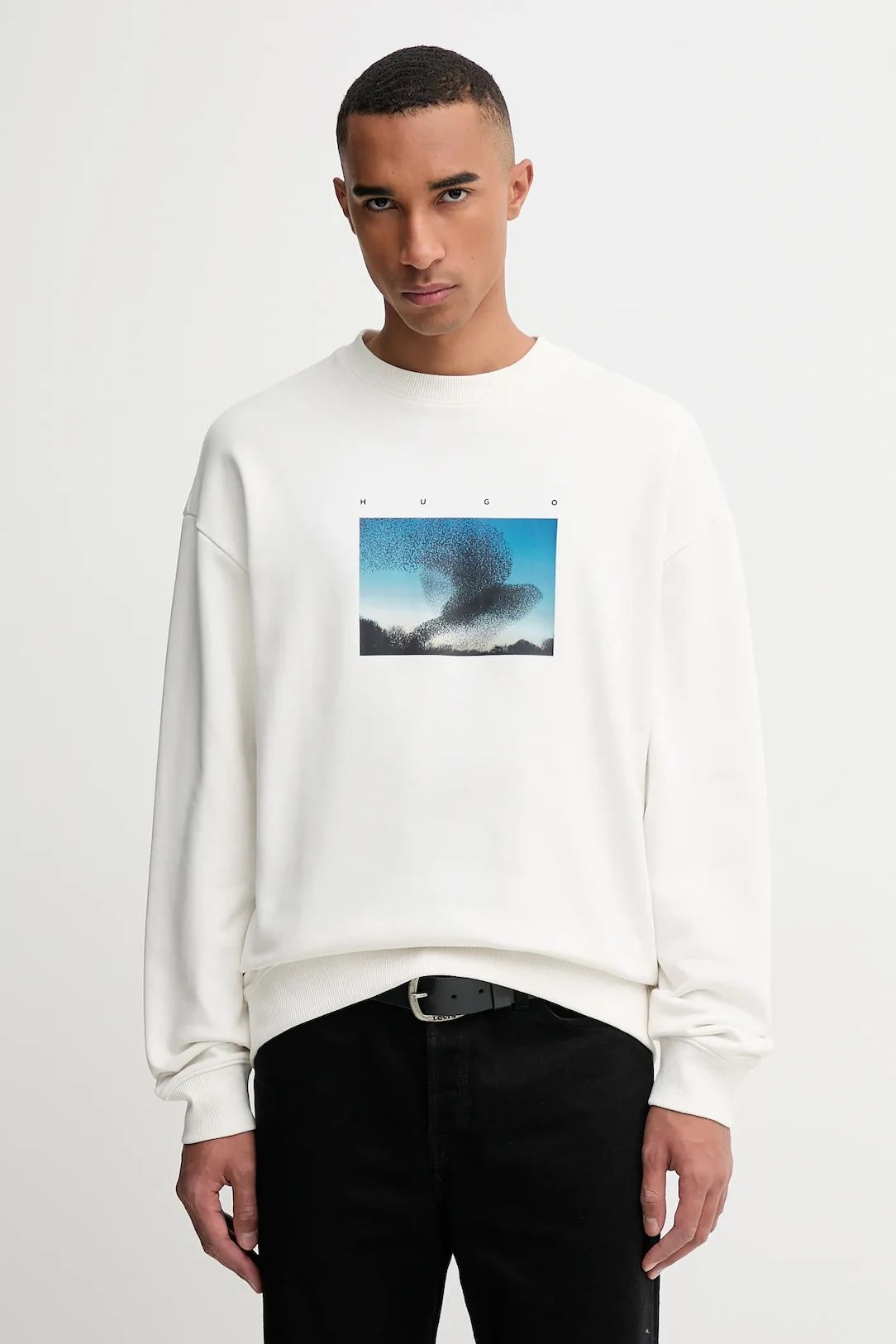 Áo sweatshirt cotton in họa tiết chim bay