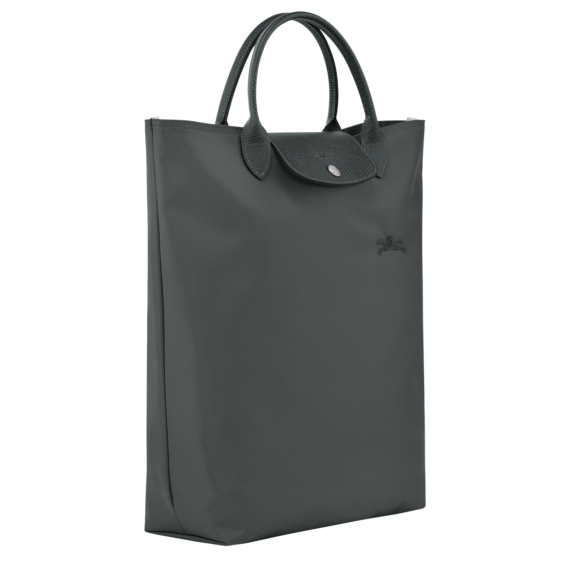 Túi Tote Le Pliage Green M