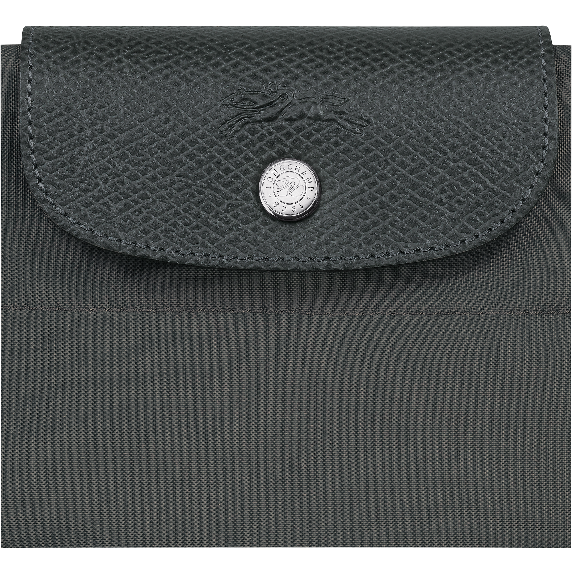 Túi Tote Le Pliage Green M