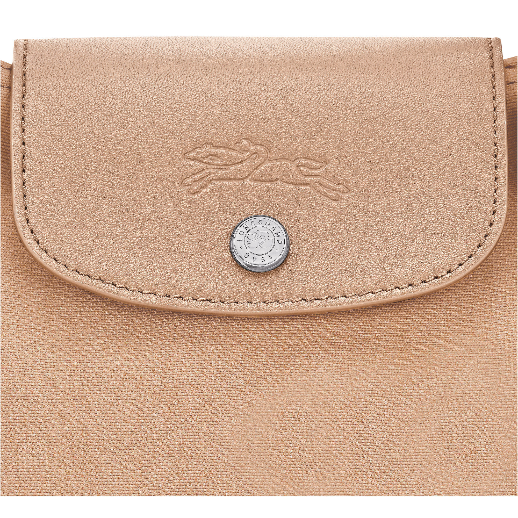Túi Tote Le Pliage Collection M