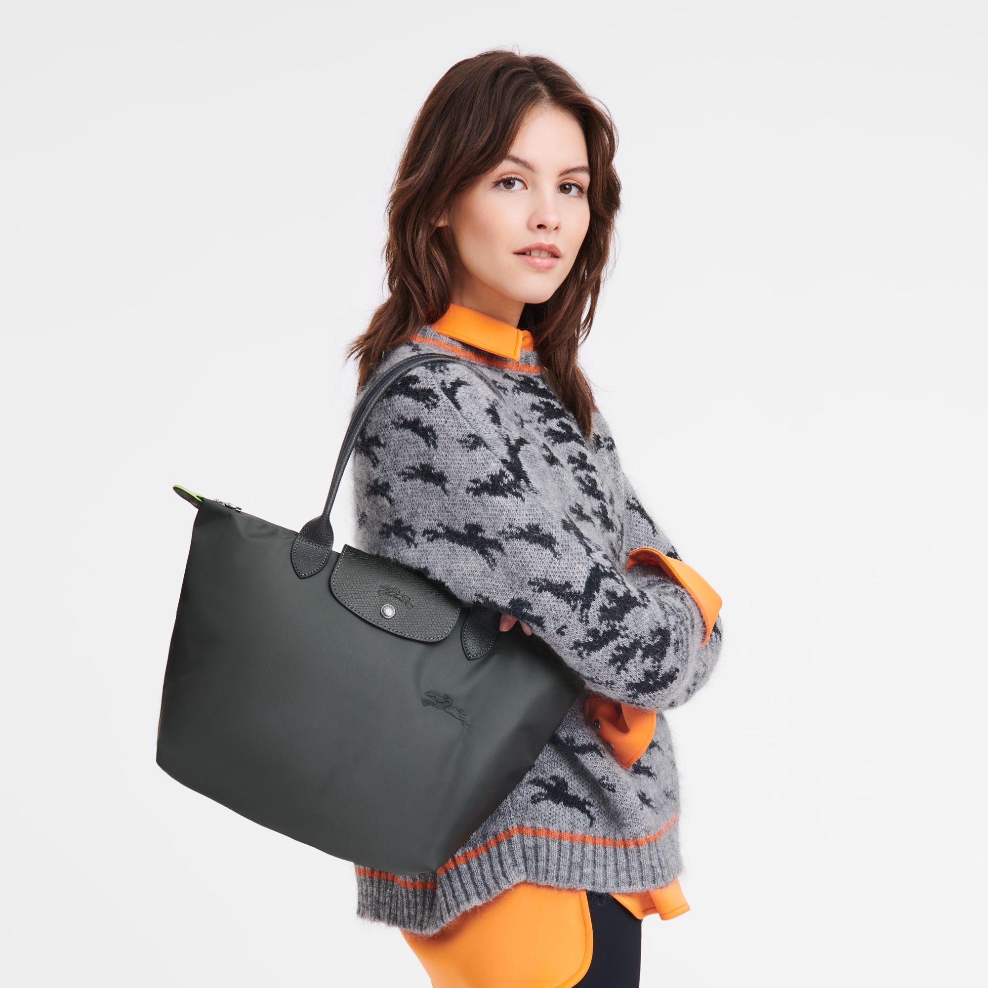 Túi Tote Le Pliage Green M