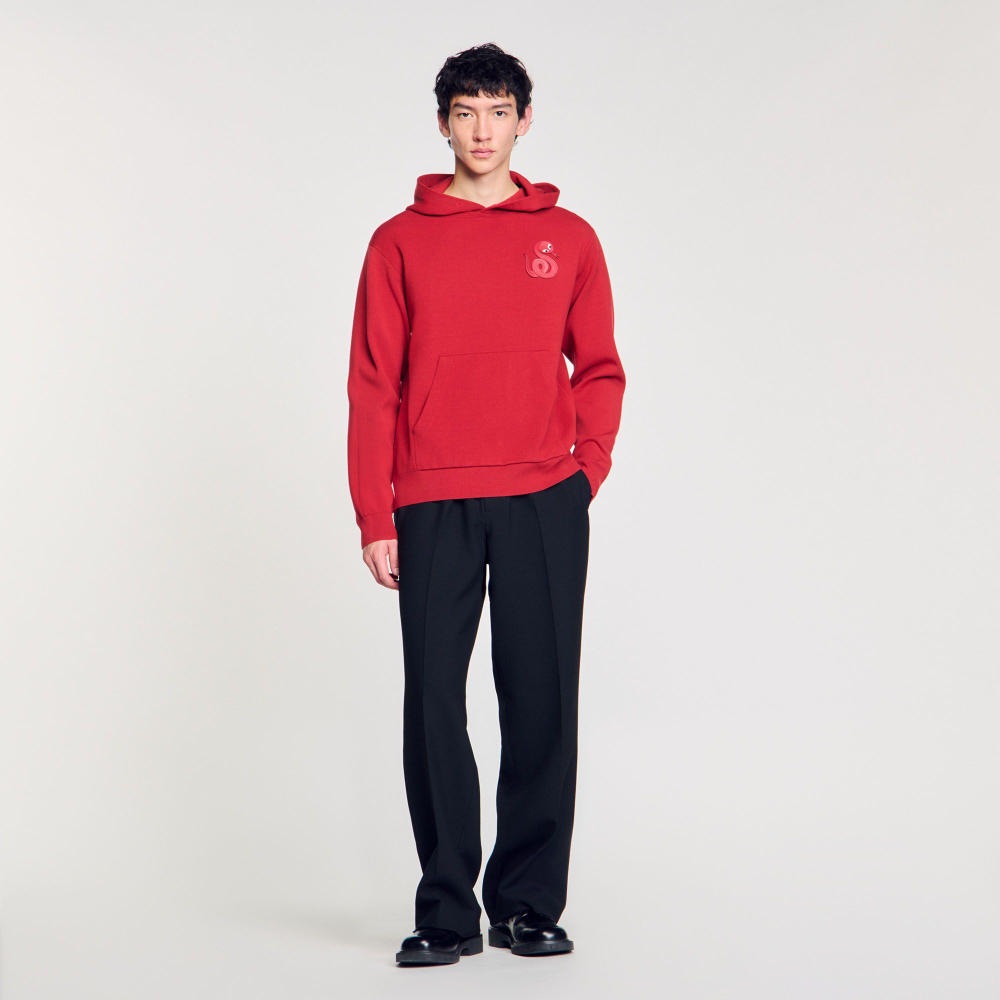 Sandro - Áo hoodie Snake