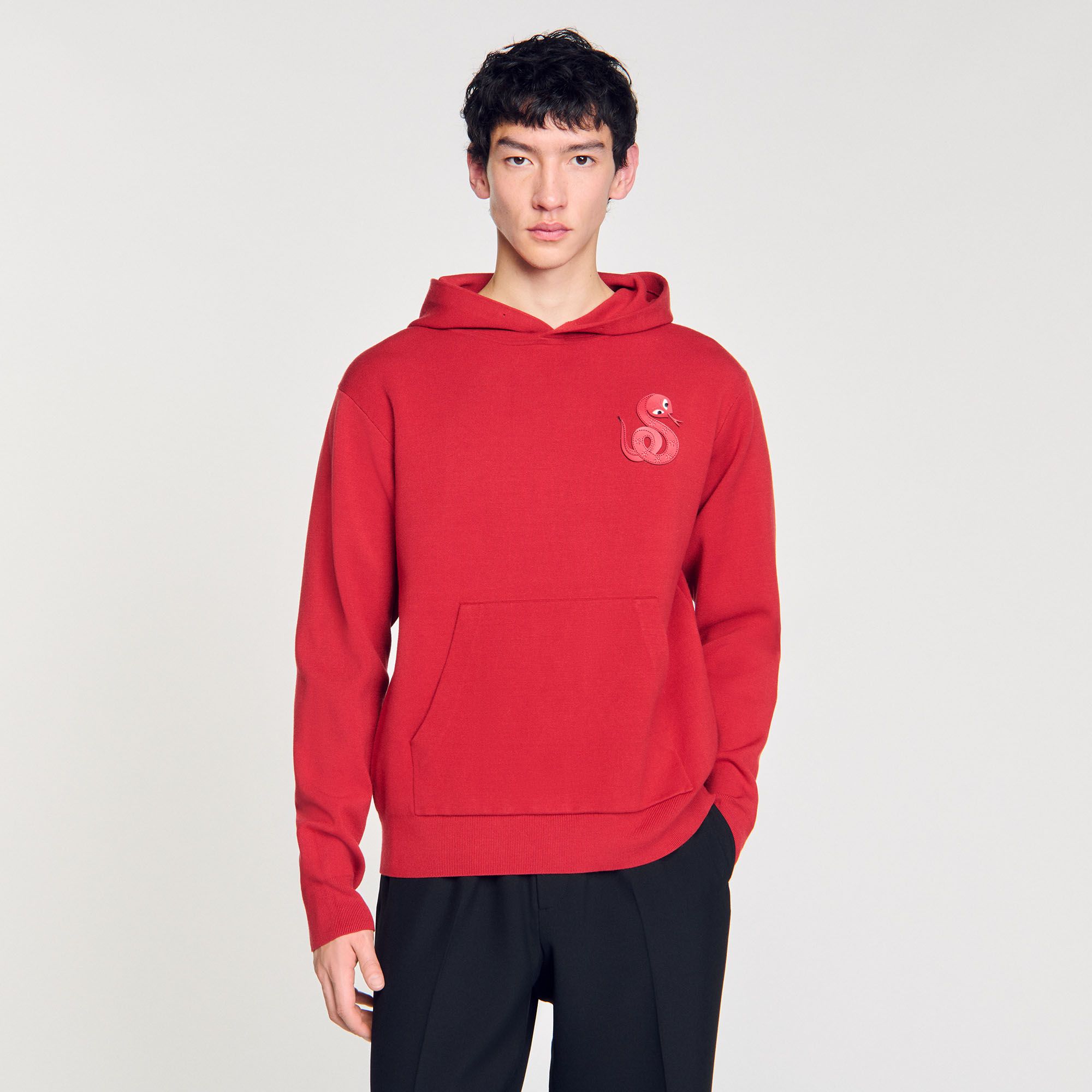 Sandro - Áo hoodie Snake