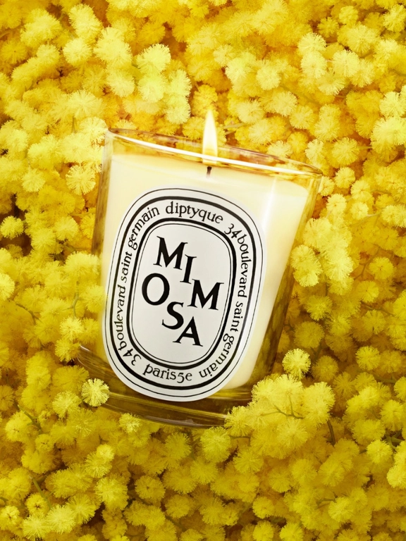 Diptyque - Nến thơm Mimosa